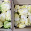 두류푸드마켓 이미지