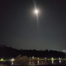 라운드커피 이미지