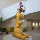 놀 | 원주 놀비숲 솔직후기 | 예약페이지와 예약꿀팁