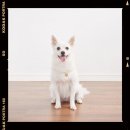 아홉사진관 이미지