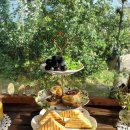 봉성집 민박 이미지