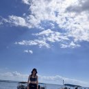 황소모양의 배(Bu | [칸쿤스쿠버다이빙 필수코스] 플라야델카르멘 불샤크(황소상어) 포인트 생생 후기 &amp; 꿀팁