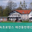 속초로망스애견동반펜션 이미지