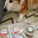 멍그리다 이미지