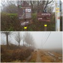 디엠지스테이 이미지