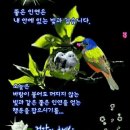 시나브로 이미지