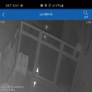 스타펫미팅 이미지