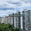 압구정-115 이미지