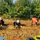 충청북도 청주시 상당구 치매안심센터 이미지