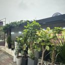 송도 토스트 국수 이미지