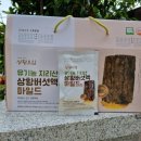 지리산 자락 상황보감영농조합법인에서 유기농 상황버섯액 마일드 출시기념 블로그 체험단 모집