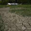 Antonio`s Farm 이미지