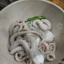 정윤기 황칠낙지 이미지