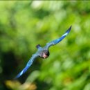 파랑새농장 이미지