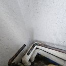 신세대하이빌 네이버블로그