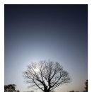 진주 촉석루 이미지