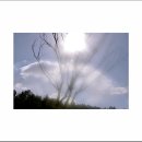 서종의 아침 이미지