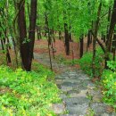 생곡리 미약골 이미지