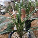 함평자연생태공원 이미지