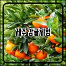 해뜨는농원 이미지