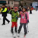 경희대 진명태권도 이미지