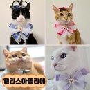 냥냥펀치 네이버블로그