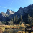 알맹이민박 | 겨울 요세미티 1박2일 투어, 20대 여자 혼자 다녀온 줌줌투어 후기