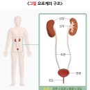 온기담은 한의원 이미지