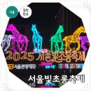 몬스터킹 2호점 | 서울 야간 놀거리 청계천 빛초롱축제 잉어킹