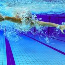 유어짐 가락 이미지