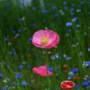 덕마리마을회관 이미지