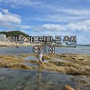 씨유 연화리바다점 | 기장 죽도 바다물때 확인 후 시간맞춰 작은바다생물 아이와 방문후기