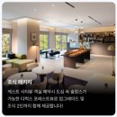 씨유(수내푸른숲) | 더블트리 바이 힐튼 서울 판교 호텔 최대 59퍼 할인 경기 5성급 숲캉스 숙소 17만원대 오픈런 특가