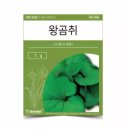 씨앗
