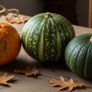 늙은 개 | 겨울보양식 호박 (늙은호박, 청둥호박, 단호박)
