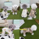 코코베스트