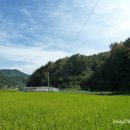 탑평리 갓바위마애불 이미지