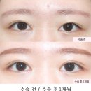 서연성형외과의원 이미지