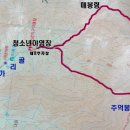 산나물 도시락 코스 이미지