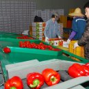 영농조합법인고운 이미지