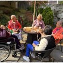 용인숲요양원 | 용인고급요양원 도심 속 숲세권, 시니어캐슬요양원을 다녀오다