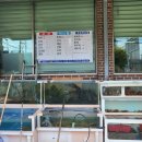 삼일수산활어회
