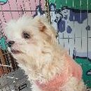 문경가축병원 이미지