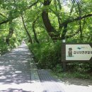 계룡산힐링민박 이미지