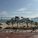 파스쿠찌 센트로광안리점 | 광안리 대표 오션뷰 카페 '파스쿠찌 센트로광안리점'