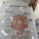 동탄그린약국 이미지