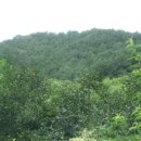 동해시-62 이미지