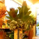 수림전국꽃배달 이미지