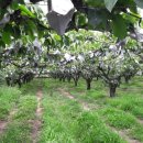 장기농장 이미지