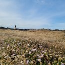 단잠 민박 이미지